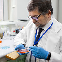 Laboratory Verified Purity