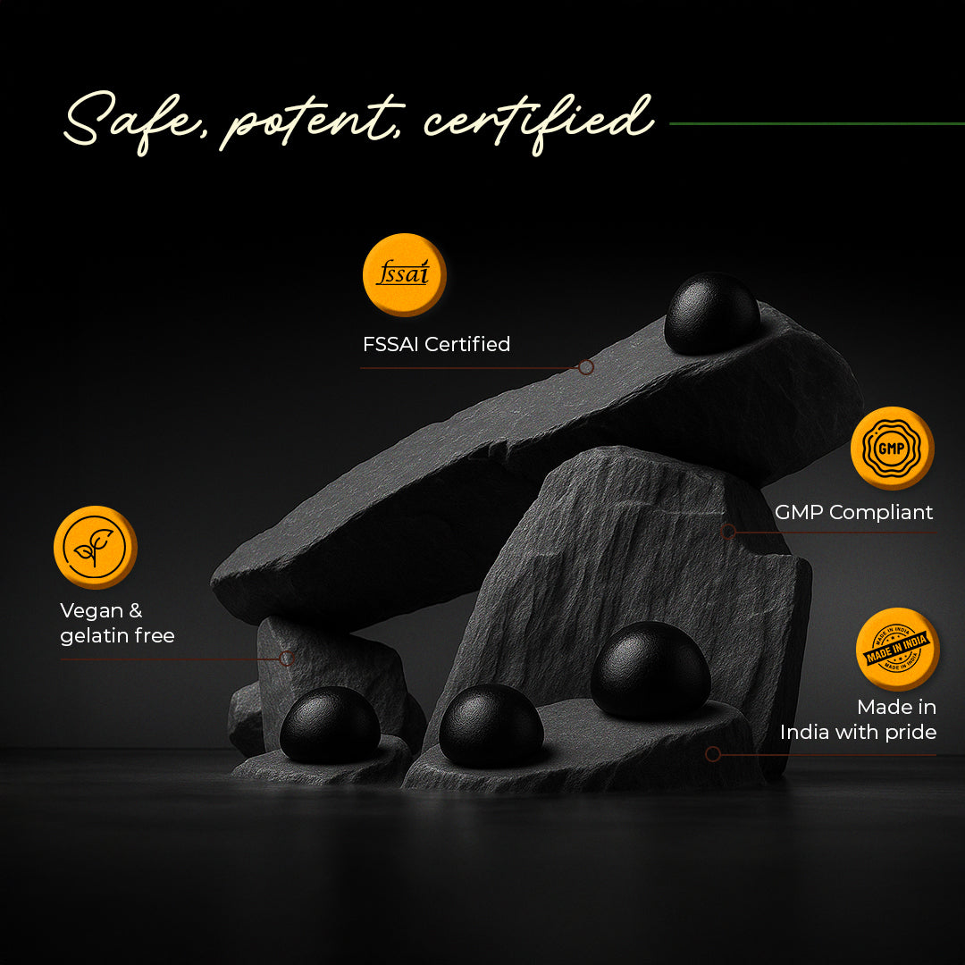 Himalayan Shilajit Gummies