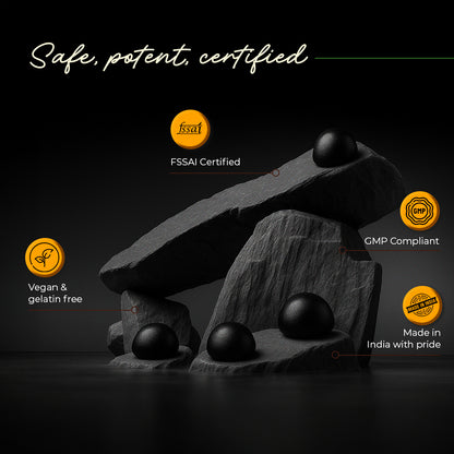 Himalayan Shilajit Gummies